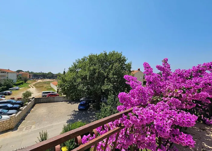 Apartman Jana *